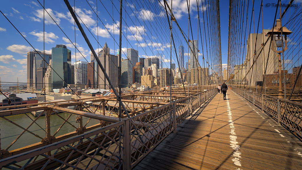 Brooklyn Bridge View 2v5